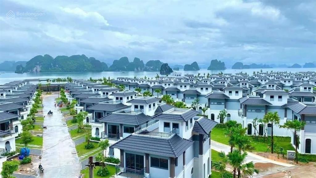 Quỹ căn chuyển nhượng biệt thự biển sonasea vân đồn mới nhất tháng 4/2026