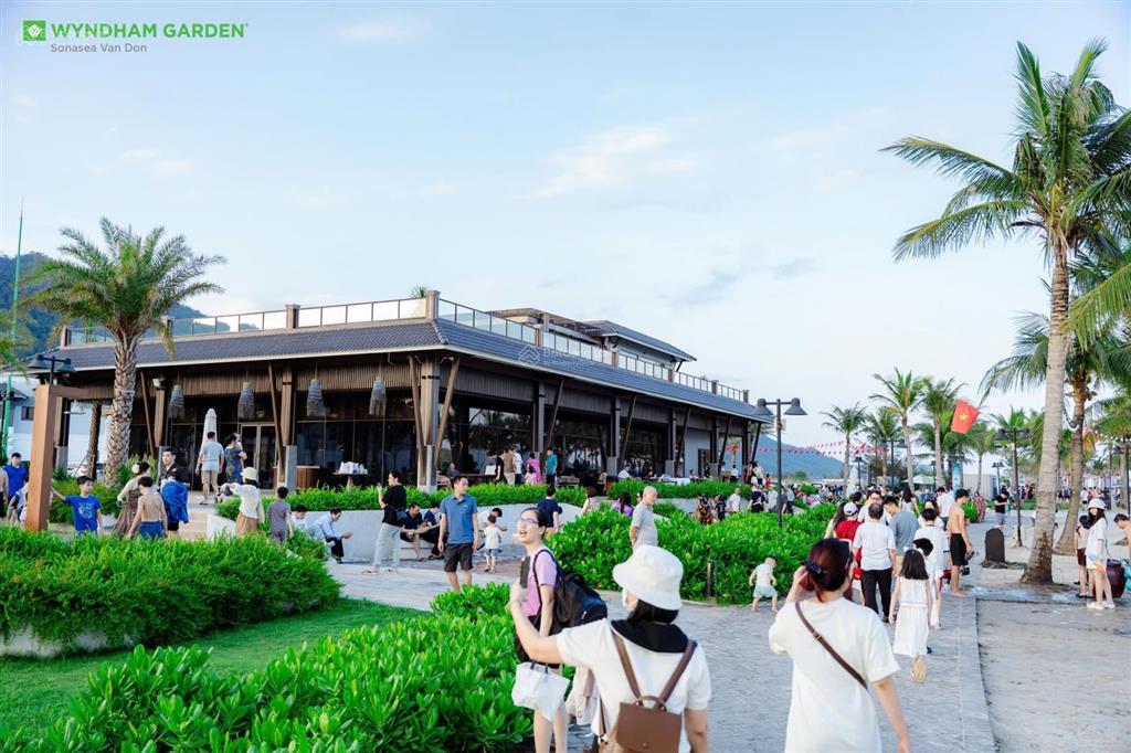 Quỹ căn chuyển nhượng biệt thự biển sonasea vân đồn mới nhất tháng 4/2026