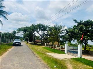 Tôi chính chủ cần bán lô đất 5x60m mặt tiền đường nhựa khu bàn cờ huyện ea kar, giá 250 tr/lô