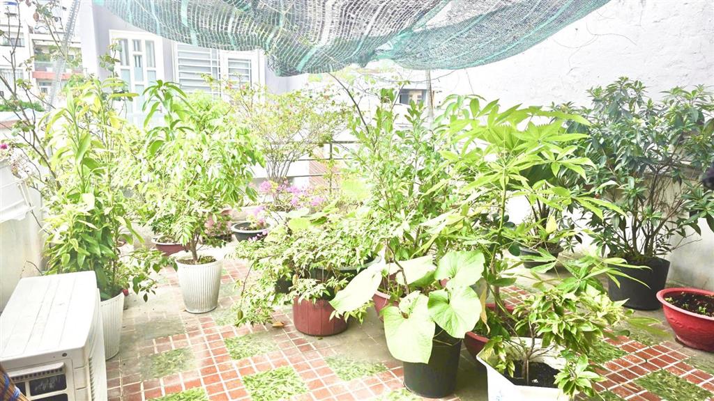 Nhà 4 tầng 60m2 (4x15m) hxh 5m đường b3, khu bàn cờ vip tây thạnh 6.7t