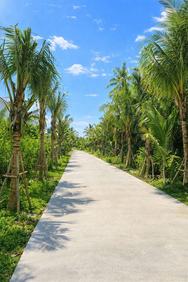Mặt tiền nguyễn tri phương ngang 9.78 nở hậu 12m sau giáp đường 3m. view sông. chỉ 35tr/m2