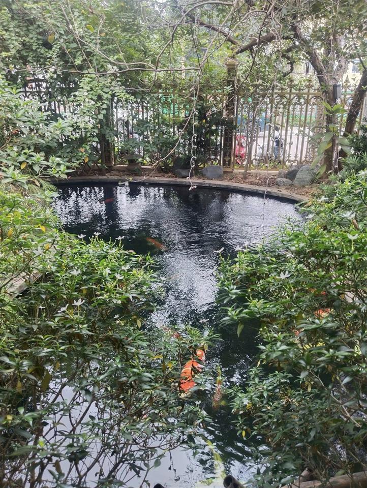 Chính chủ bán bt 330m2 khu c geleximco hà đông, thiết kế hiện đại, full nội thất, gần aeon mall hđ