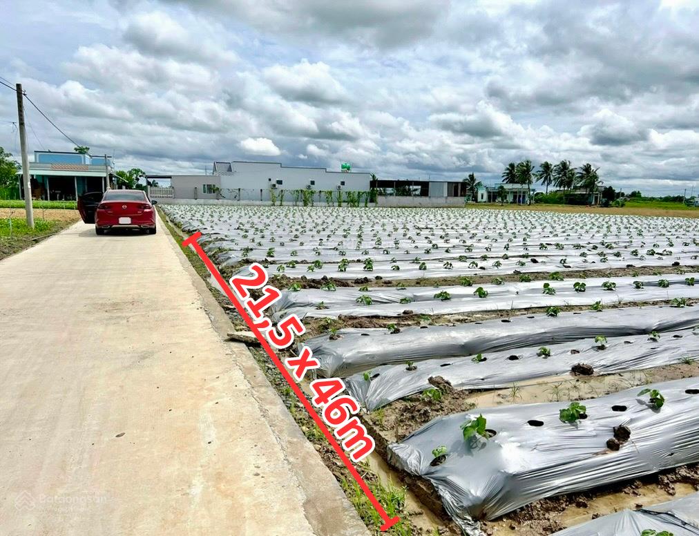 21,5x46  sát vách tp gò công  cách tl873 chỉ 70m  đất sạch, ko bị quy hoạch