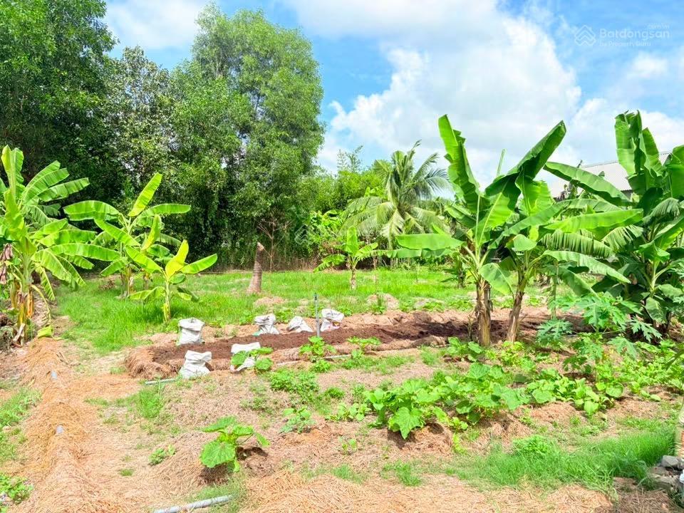Đất thổ cư (sổ riêng) gần nhà văn hóa  khu vực đông dân cư, ko bị quy hoạch