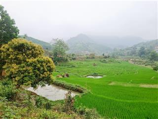 Bán lô đất đẹp tại cao phong, bám trục đường nhựa giá rẻ, nghỉ dưỡng quá đẹp