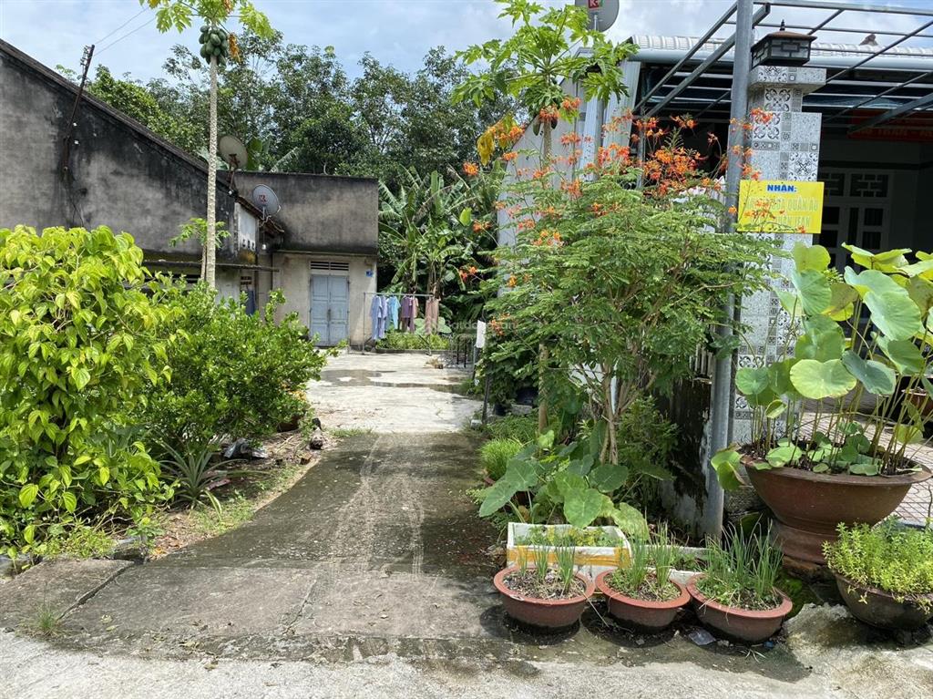 Bán đất chính chủ, dt 5x30m, tt võ xu, đức linh, giá 650tr,  0906 800 ***