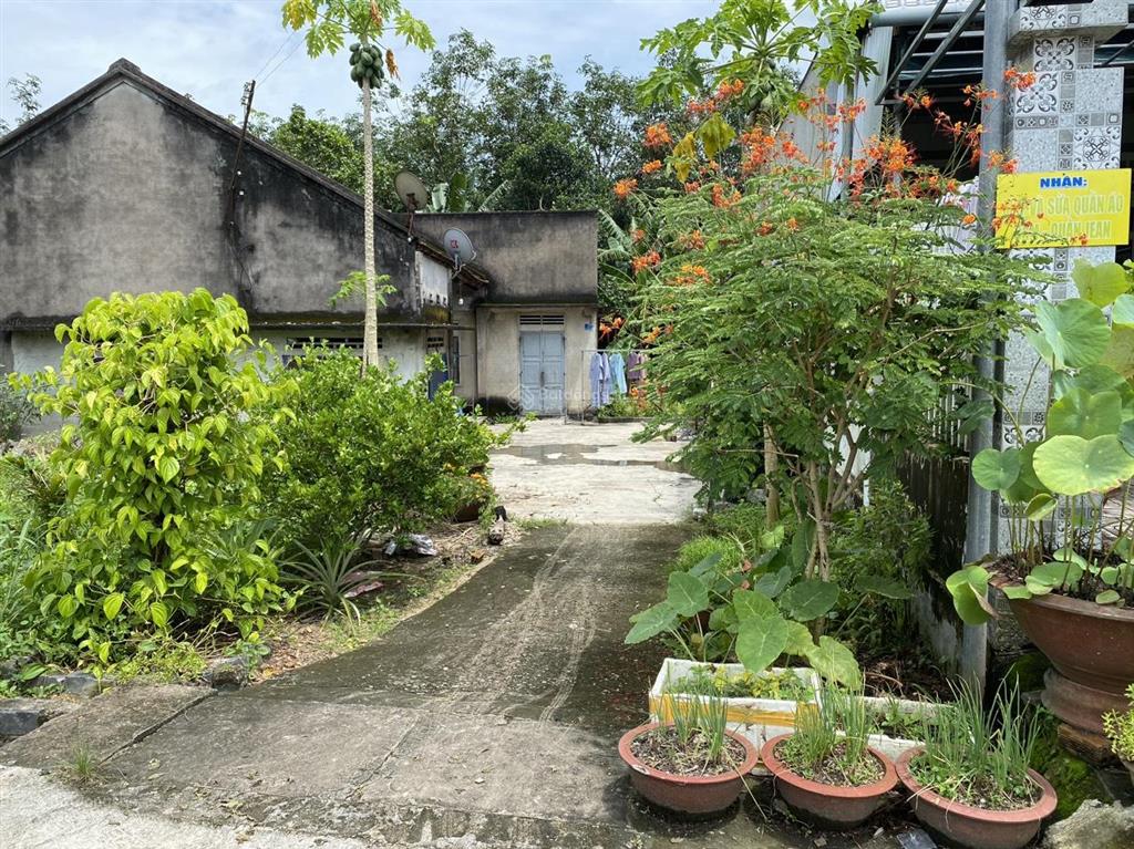 Bán đất chính chủ, dt 5x30m, tt võ xu, đức linh, giá 650tr,  0906 800 ***