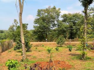 Bán 20x50 có 100tc đất xã kim long, tp.hcm. giá 1 tỷ 990tr.