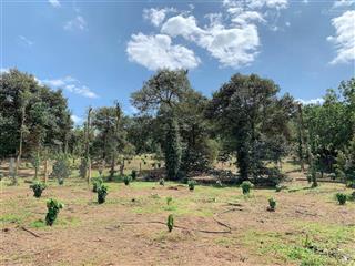 Bán 20x50m có 100m2 tc đất xã kim long, tp.hcm. giá 1 tỷ 850tr