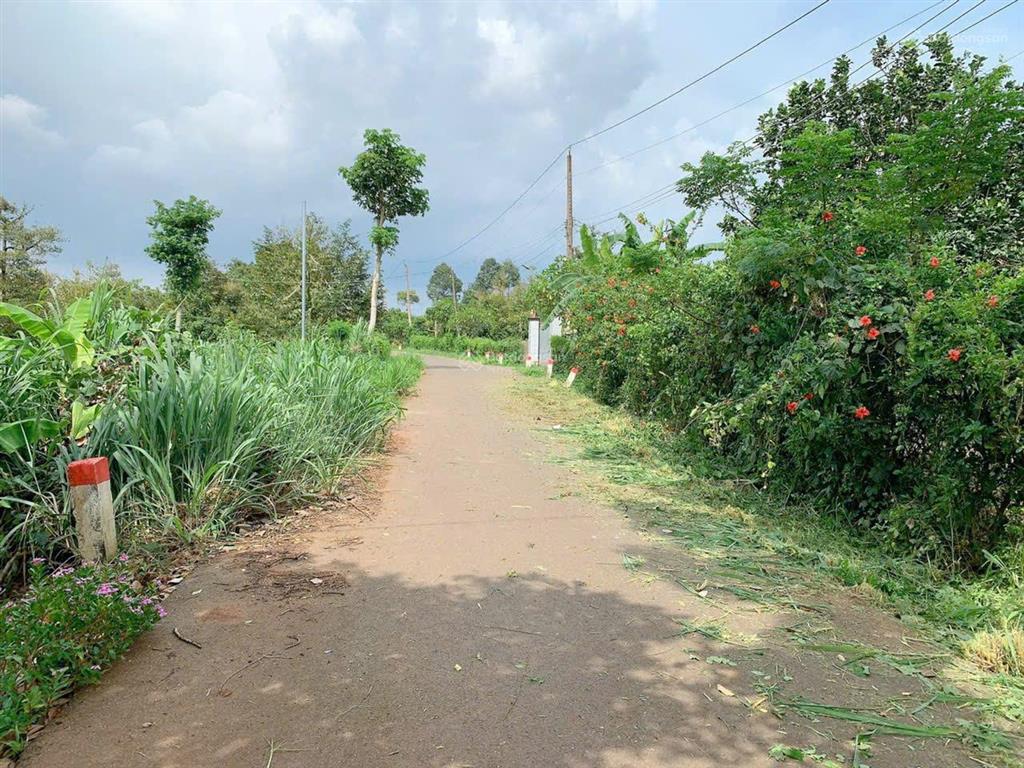 Bán khoảng 1 sào (1000m2) đất xã kim long, tp. hcm. giá 1,2 tỷ