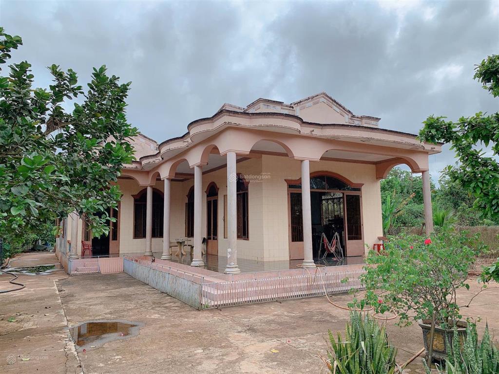 Bán khoảng 1 mẫu 2 (12.104m2) đất phường tân thành, tp. hcm. giá 24 tỷ