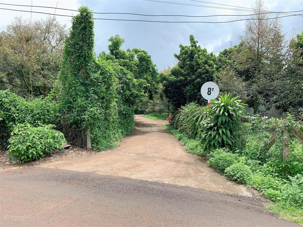 Bán khoảng 2 mẫu (20.258m2) đất phường tân thành, tp.hcm. giá 25 tỷ