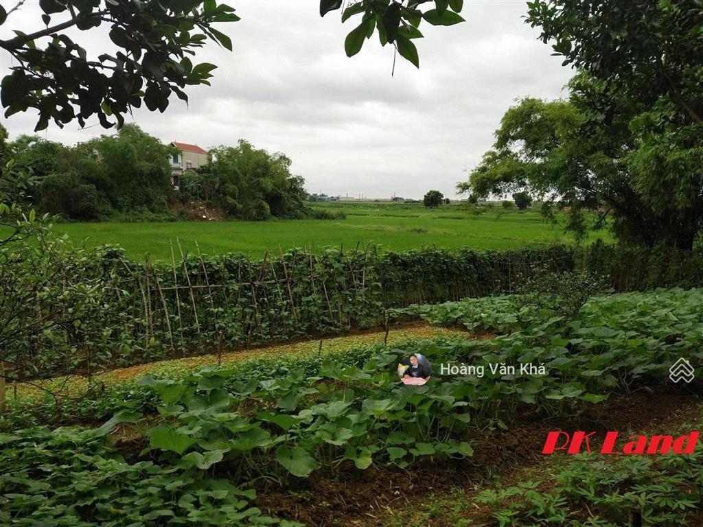 Bán đất 726m2 view cánh đồng tại bạch thạch, phú cát, hà nội giá 6 tỷ, đất đẹp đầu tư hoà lạc