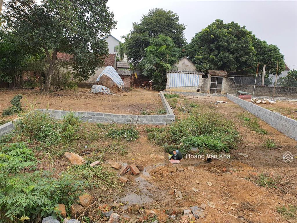 Bán đất giá hời đông yên 154m2 đường ô tô tránh nhau, giá chỉ hơn 2 tỷ