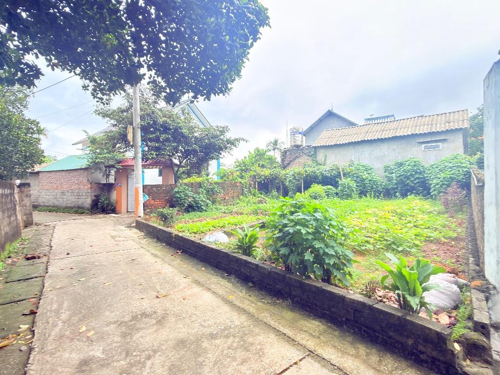 🚨 GIẬT MÌNH VỚI MỨC GIÁ CHỈ 1,5 TỶ – 60m² FULL THỔ CƯ NGAY TRUNG TÂM PHÚ CÁT, TP. HÀ NỘI! 🚨
