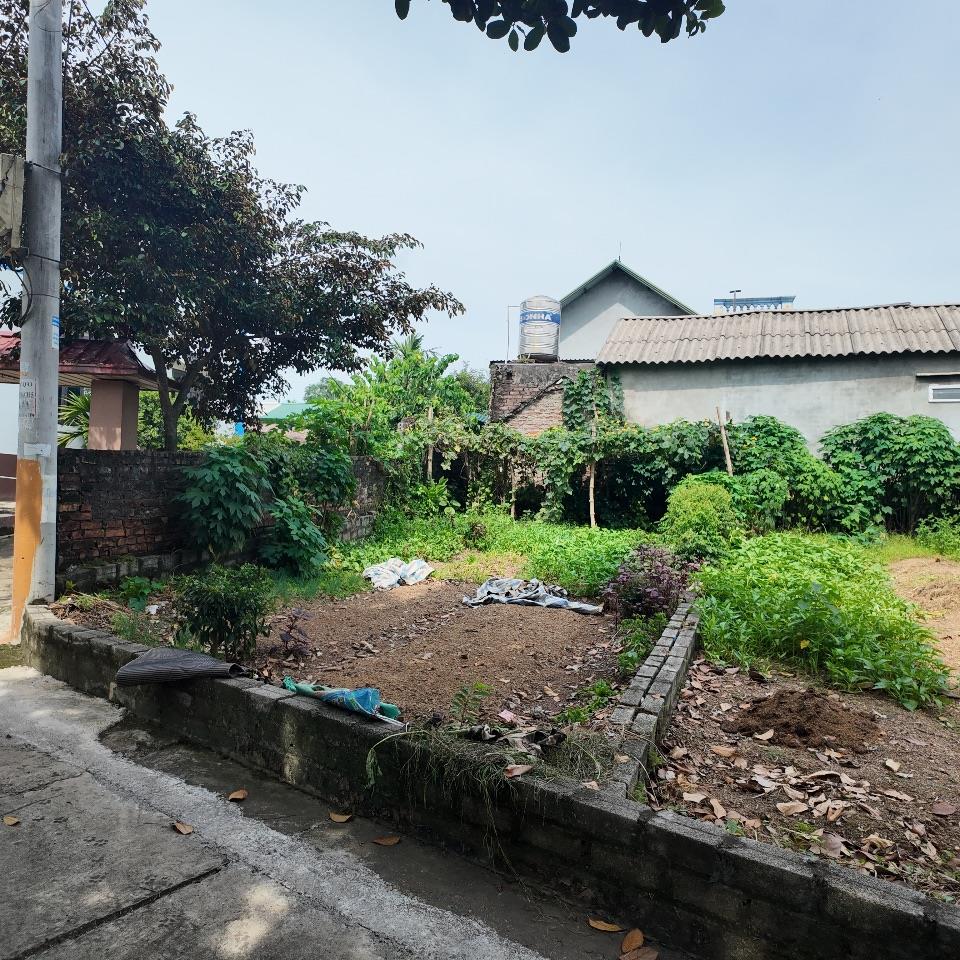 🚨 GIẬT MÌNH VỚI MỨC GIÁ CHỈ 1,5 TỶ – 60m² FULL THỔ CƯ NGAY TRUNG TÂM PHÚ CÁT, TP. HÀ NỘI! 🚨