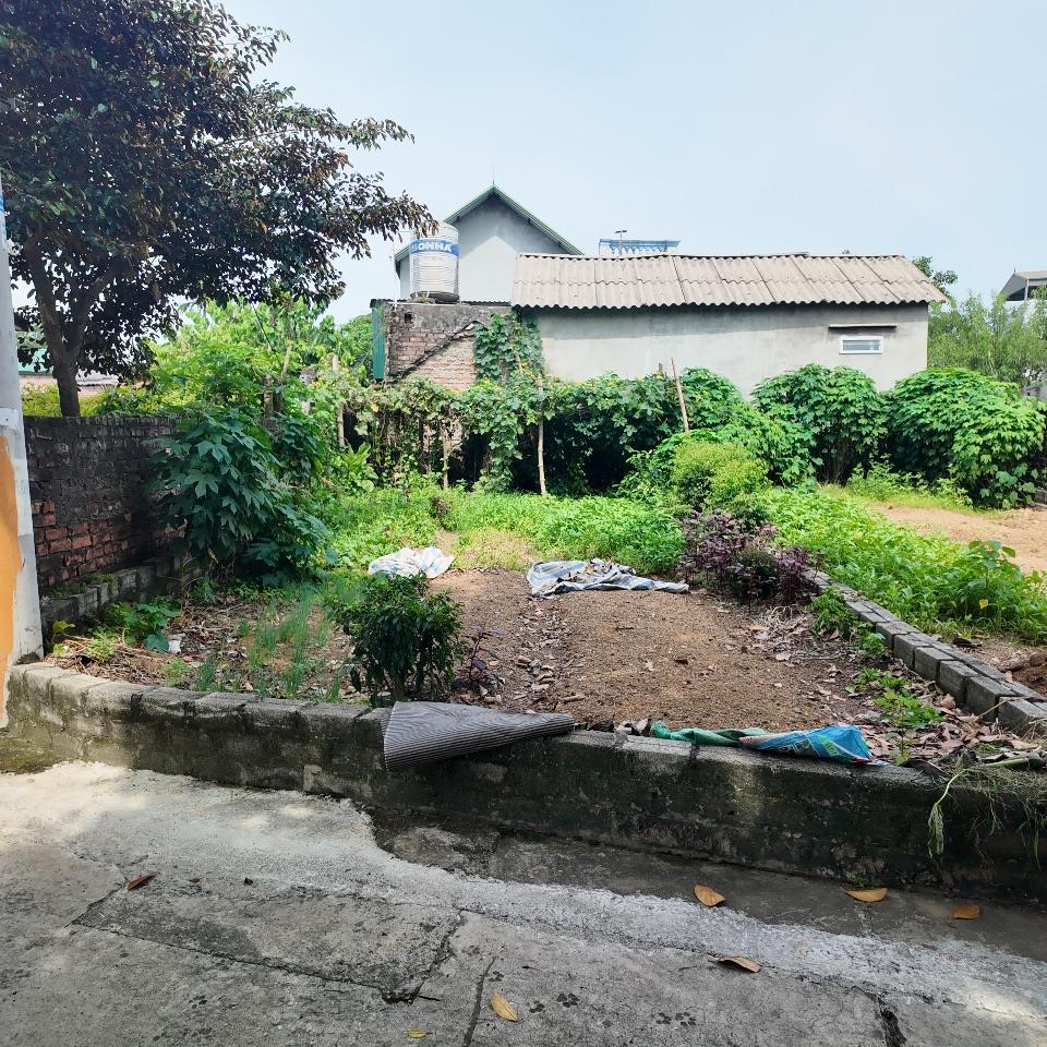 🚨 GIẬT MÌNH VỚI MỨC GIÁ CHỈ 1,5 TỶ – 60m² FULL THỔ CƯ NGAY TRUNG TÂM PHÚ CÁT, TP. HÀ NỘI! 🚨