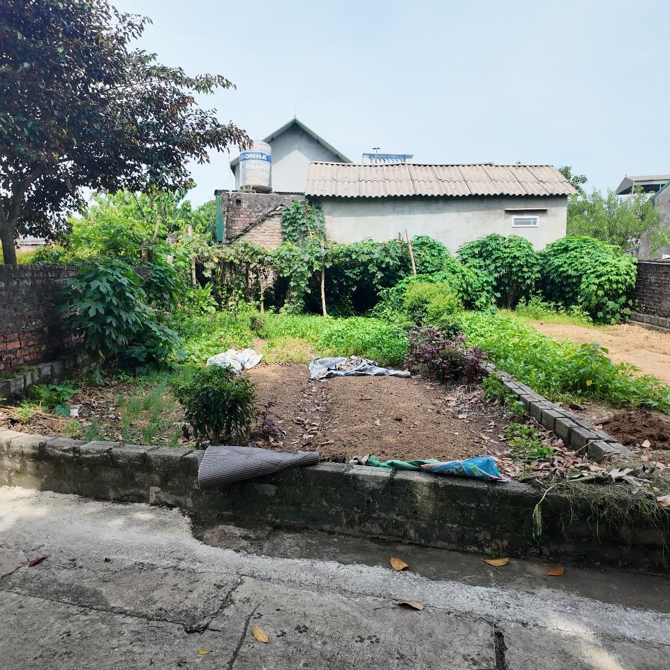 🚨 GIẬT MÌNH VỚI MỨC GIÁ CHỈ 1,5 TỶ – 60m² FULL THỔ CƯ NGAY TRUNG TÂM PHÚ CÁT, TP. HÀ NỘI! 🚨