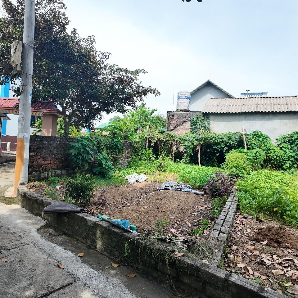 🚨 GIẬT MÌNH VỚI MỨC GIÁ CHỈ 1,5 TỶ – 60m² FULL THỔ CƯ NGAY TRUNG TÂM PHÚ CÁT, TP. HÀ NỘI! 🚨