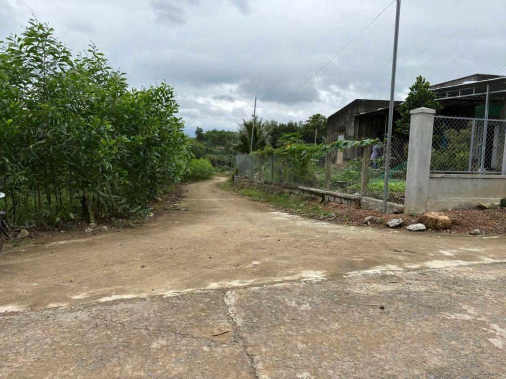 Cần bán lô đất cây lâu năm 1.227,8m2 xuân đồng, diên khánh, khánh hòa