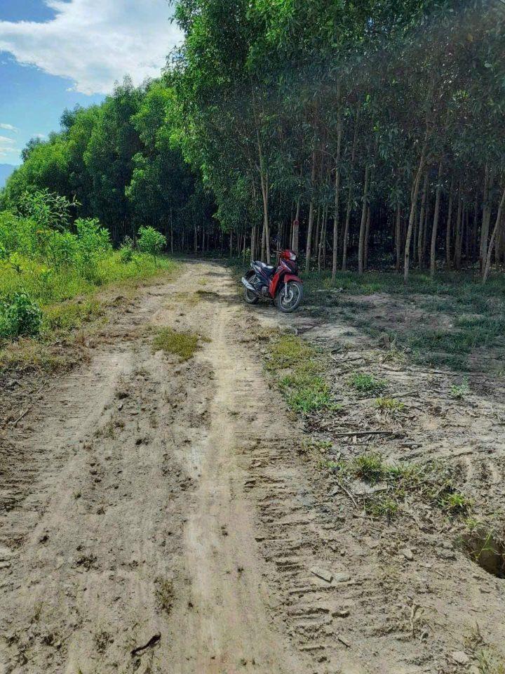 Cần bán lô đất cây lâu năm 1.227,8m2 xuân đồng, diên khánh, khánh hòa