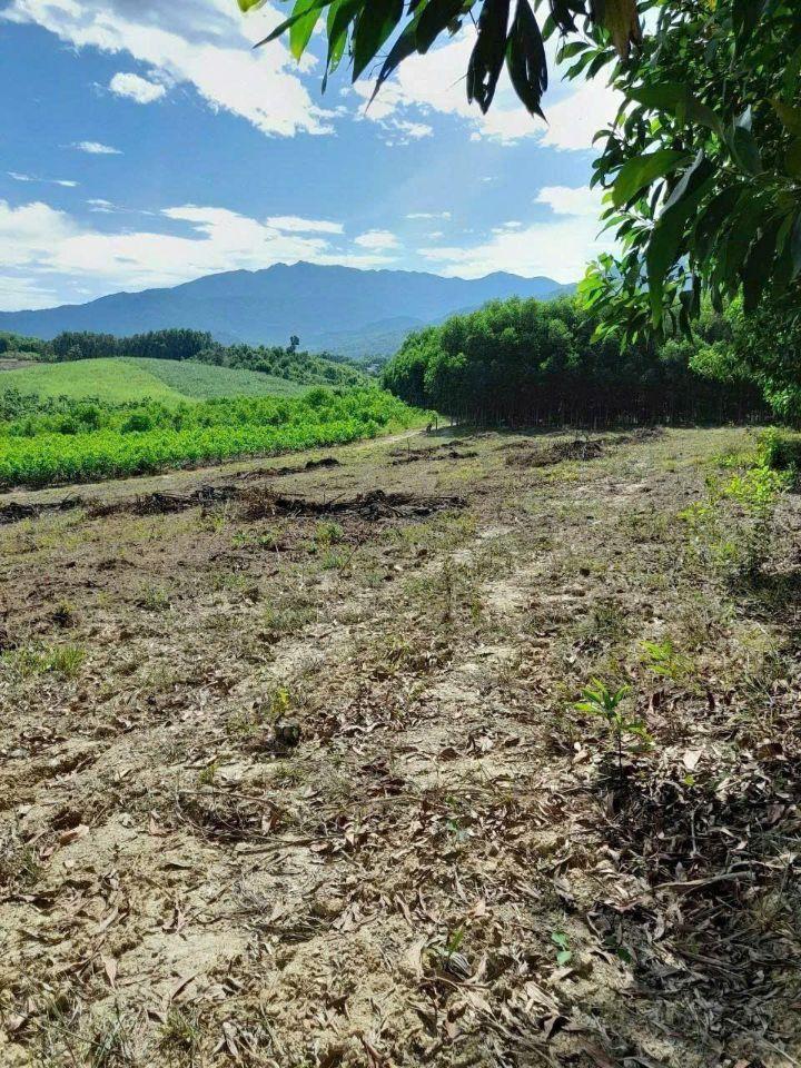 Cần bán lô đất cây lâu năm 1.227,8m2 xuân đồng, diên khánh, khánh hòa