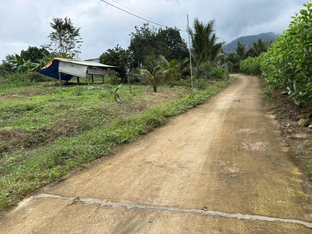 Cần bán lô đất cây lâu năm 1.227,8m2 xuân đồng, diên khánh, khánh hòa