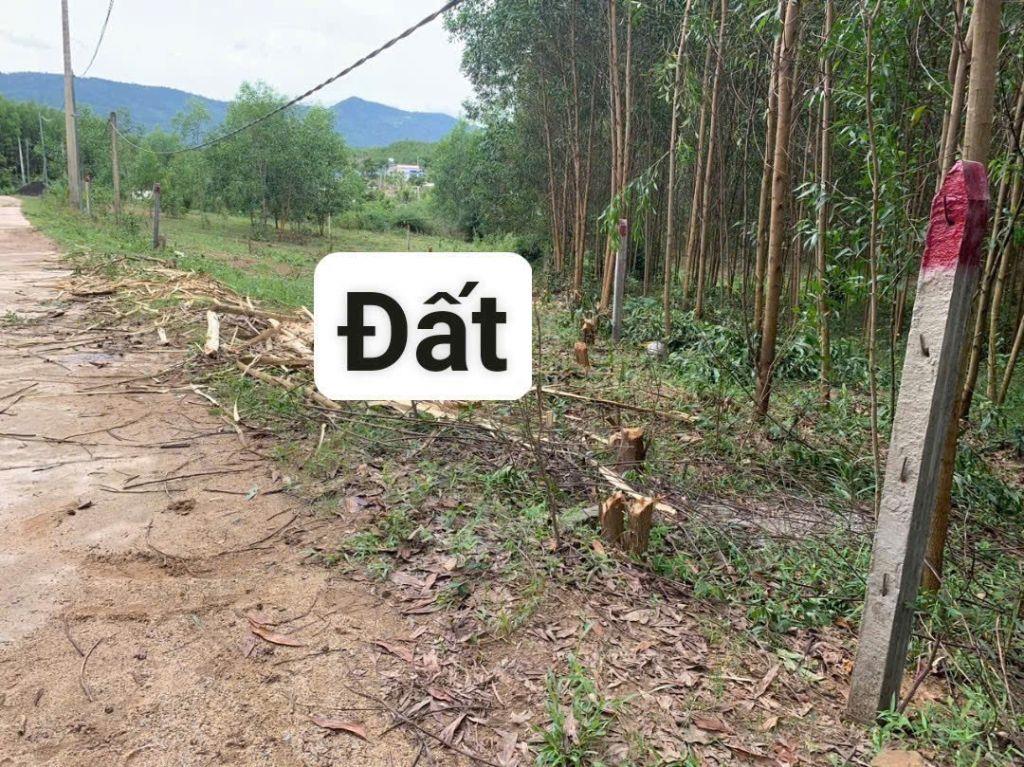 Cần bán 2 lô đất Bến Khế, Khánh Bình, Khánh Vĩnh, Khánh Hòa