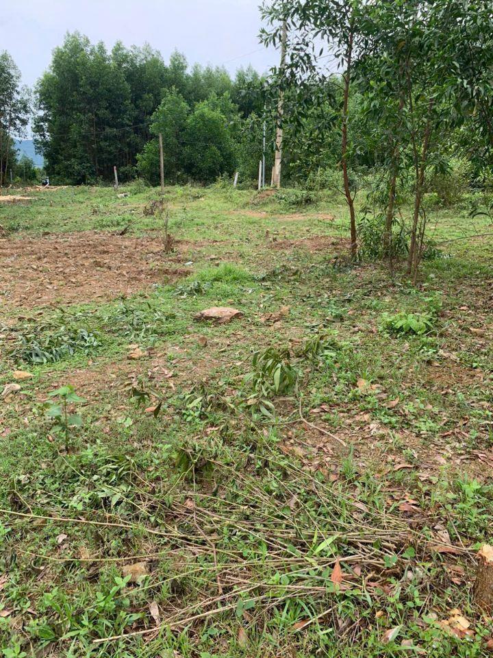 Cần bán 2 lô đất Bến Khế, Khánh Bình, Khánh Vĩnh, Khánh Hòa