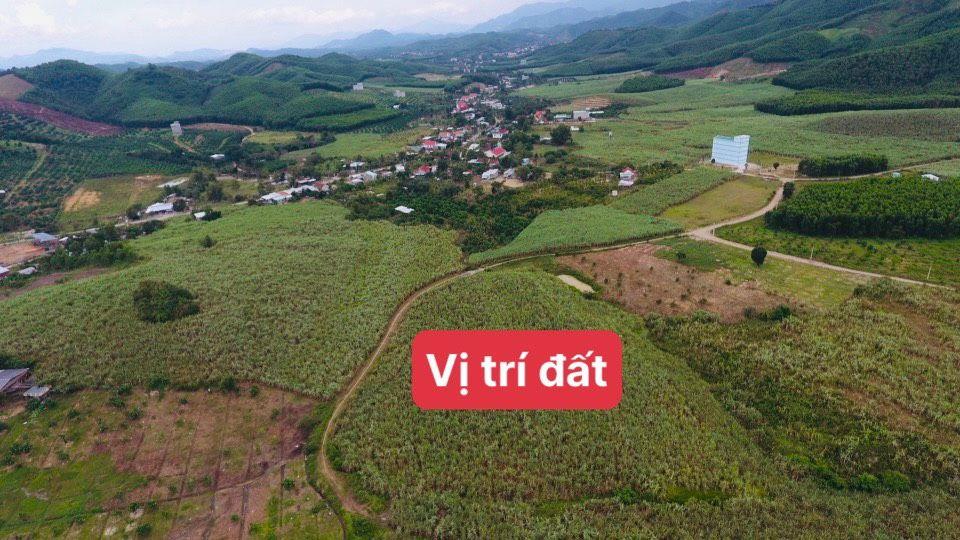 🍂Cần bán gấp lô đất vườn 2.000m2 gần UB xã Khánh Nam cũ, Khánh Vĩnh, Khánh Hoà