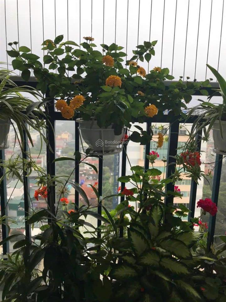 Bán căn hộ chung cư az lâm viên complex, giá thỏa thuận, 113m2, view đẹp, uy tín