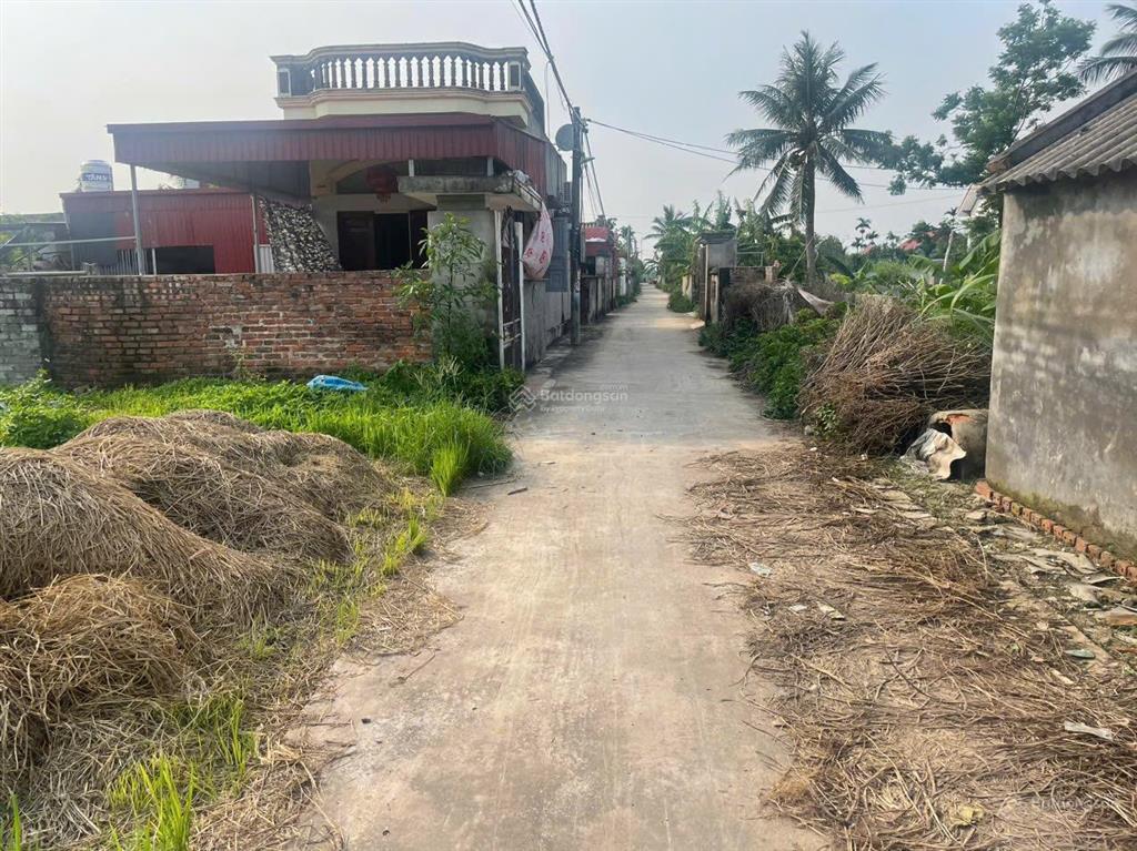 Chính chủ cần bán lô đất rẻ đẹp tại tiên lãng hải phòng (tân minh  hải phòng) chỉ hơn 6tr/m2