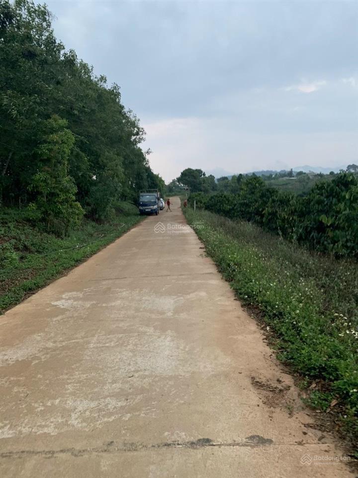 Bán đất tà đùng view đẹp giá tốt (12 tỷ cho hơn 1,5ha có sẵn 400 m2 đất thổ cư)