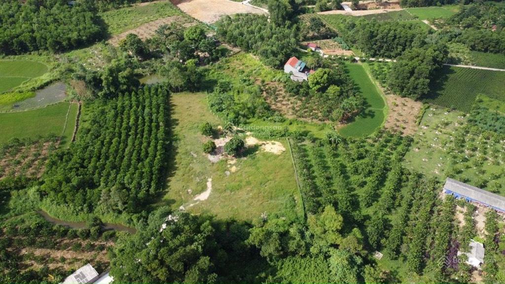 Bán nhanh dt 2858m2  400m2 thổ cư  0982 478 *** cách flamingo đại lải 7km