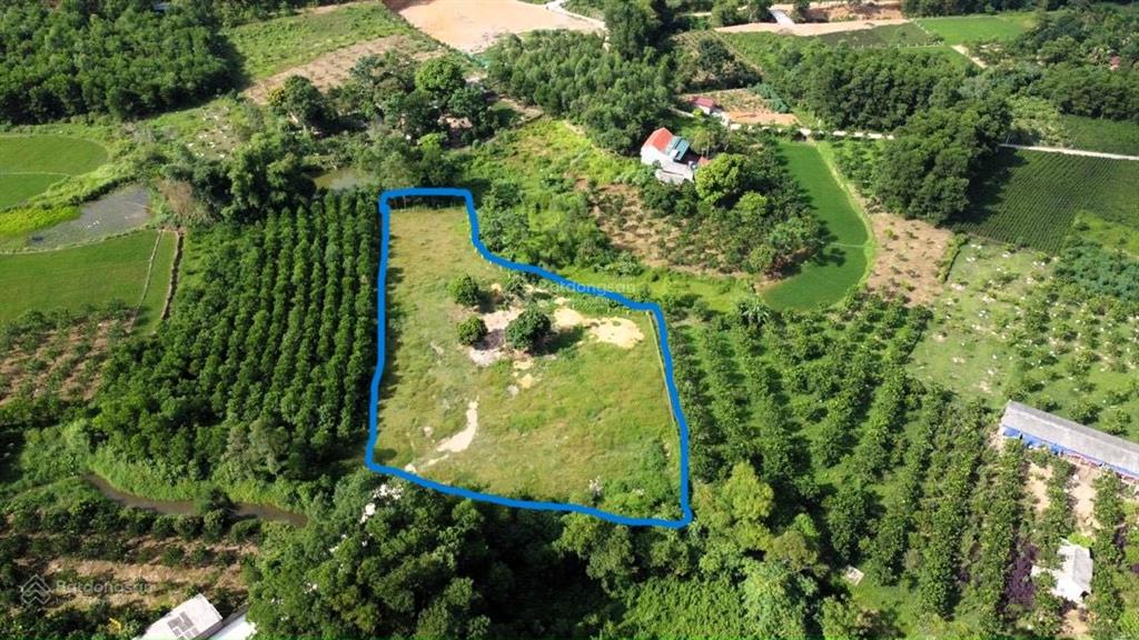 Bán nhanh dt 2858m2  400m2 thổ cư  0982 478 *** cách flamingo đại lải 7km