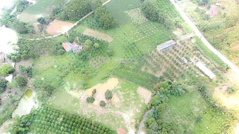 Bán nhanh dt 2858m2  400m2 thổ cư  0982 478 *** cách flamingo đại lải 7km