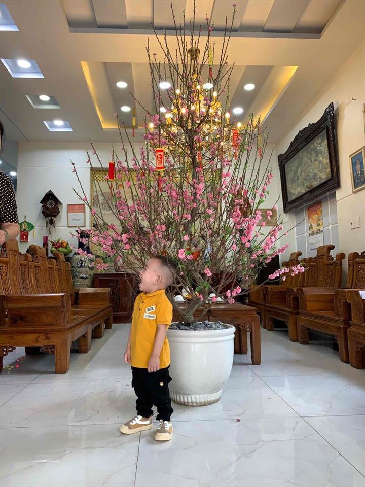 biệt thự và dãy nhà trọ
