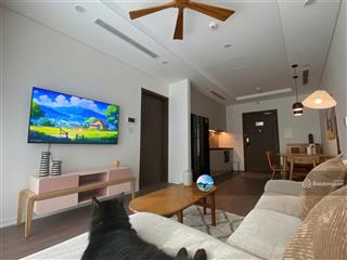 Cho thuê căn hộ 1pn, 1wc  52m2  giá 13tr tốt nhất cc sunshine green iconic  em long 0869 971 ***