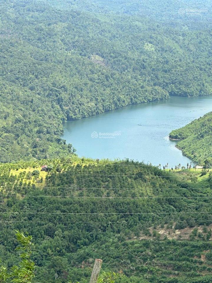 Chính chủ cần bán gấp 24,3ha rẫy tà đùng (9,3ha sổ + 15ha ngoài sổ)  mặt tiền sông 520m giá 22 tỷ