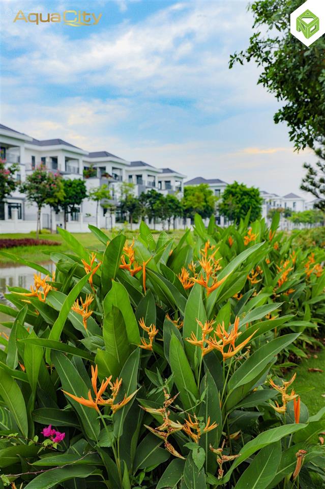 Cần bán căn lớn thứ 2 phân khu grand vila giá bán 25 tỷ bao mọi chi phí sang tên