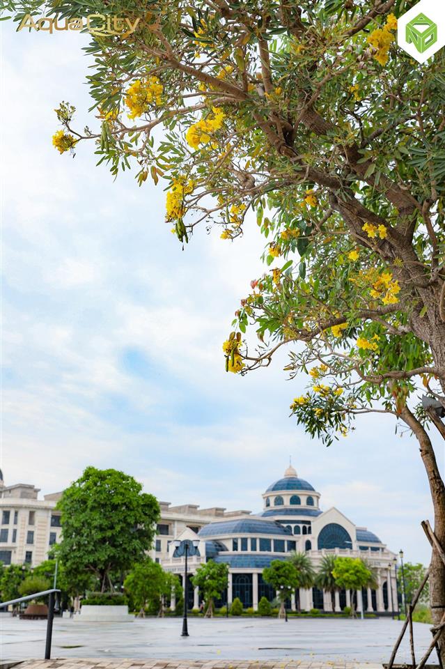 Cần bán căn lớn thứ 2 phân khu grand vila giá bán 25 tỷ bao mọi chi phí sang tên