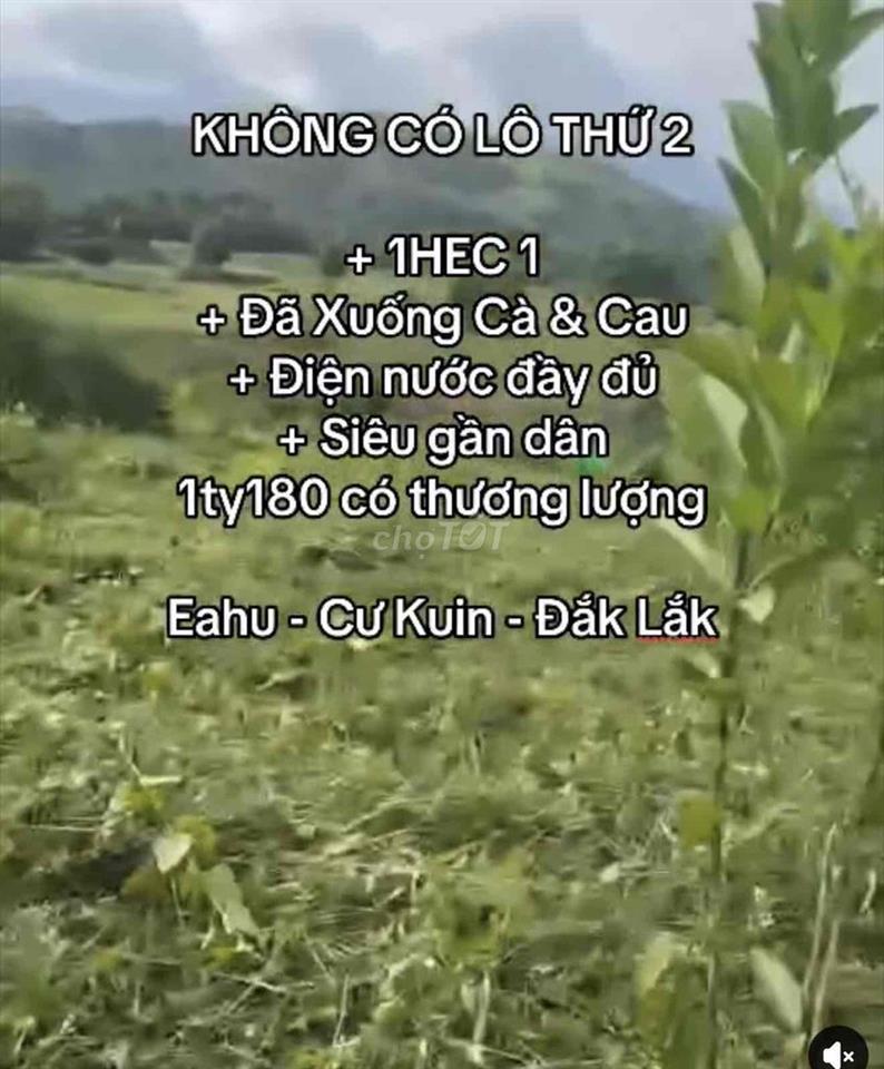 CHÍNH CHỦ BÁN RẪY 1HEC1 Tại Đắk Lắk Mặt Tiền Đường Lớn