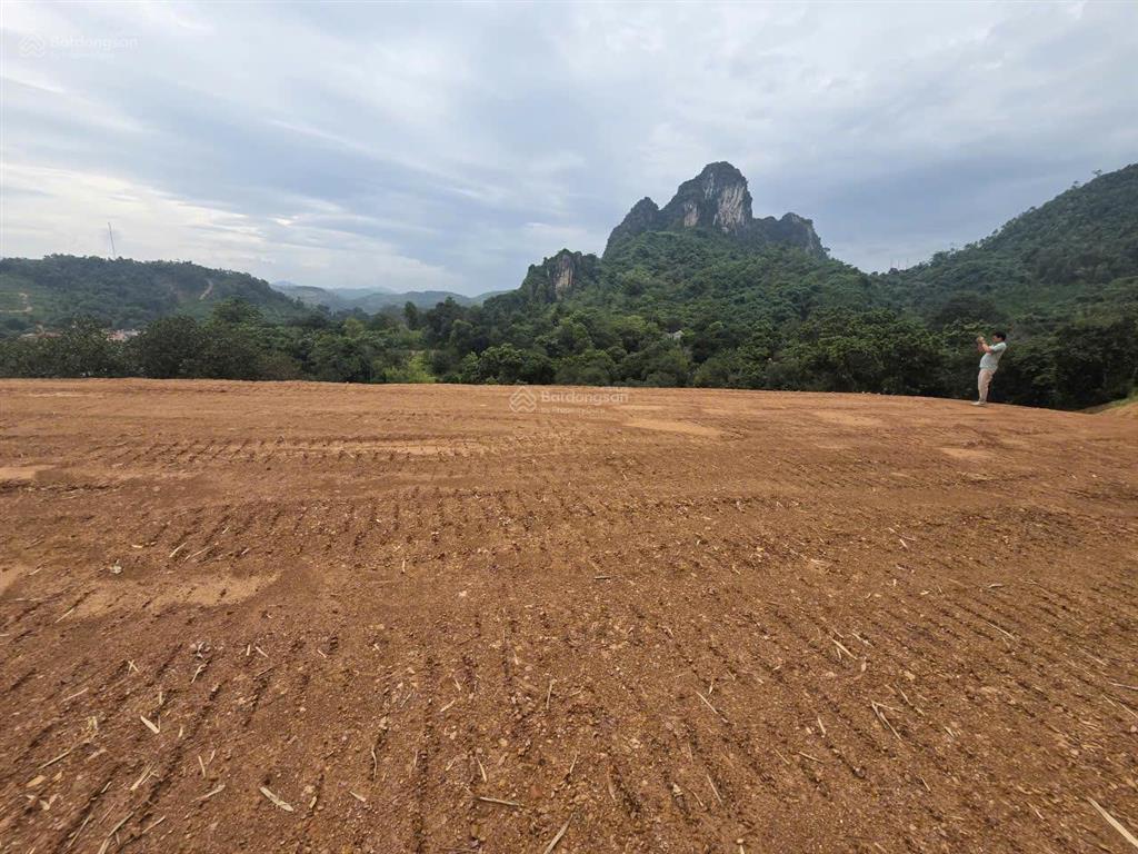 Bán gấp chỉ 1.2triệu/m2 5600m2 lưng tựa núi tại tt lương sơn cách ql6 200m phù hợp làm nghi dưỡng