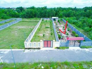 Bán lô đất biệt thự cổng rào kiên cố vườn cây ăn quả  cách biển phước hải 2km  phước hải, brvt