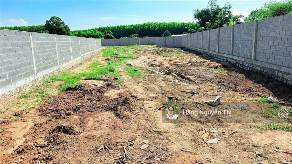 Bán lô đất 500m2 nhà vườn ngay đường nguyễn huệ xã đất đỏ, canh khu nhà vườn, đi biển 10p