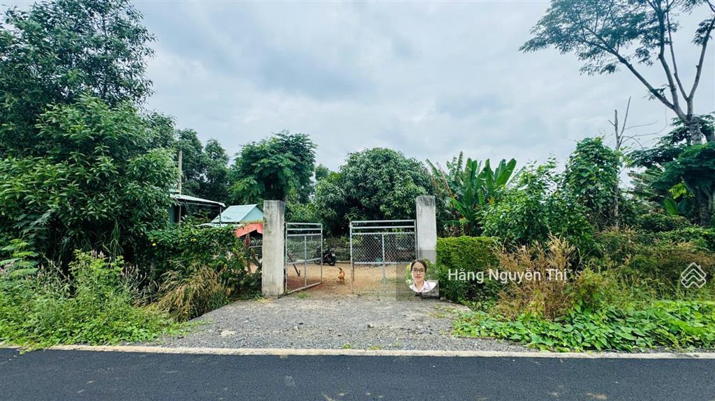 Bán lô đất 5009m2 có 100m mt nhựa sát tl997 và kcn đất đỏ, đất sẵn nhà c4  giá chỉ 4,5 tỷ