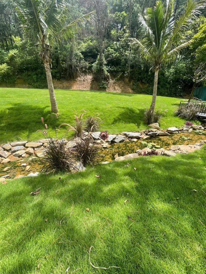 Chính chủ bán nhanh mảnh đất nghỉ dưỡng hơn 3.600m² tại hồ đồng đò, hà nội, giá chỉ 3,5 tr/m²