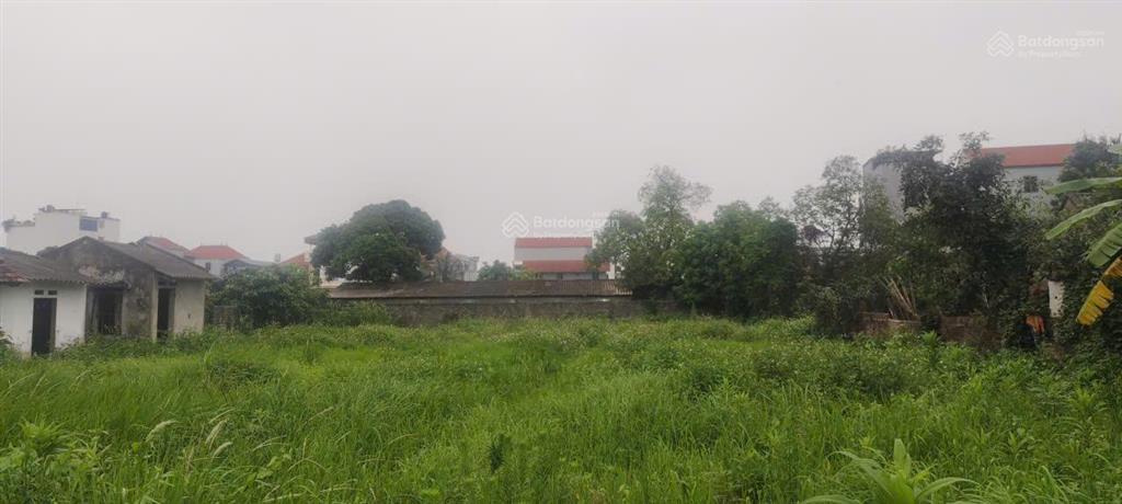 Khủng khủng! bán 1200m2 full thổ cư đối diện dự án xuân cầu tại đông tảo sát vành đai 4, 0961 532 ***