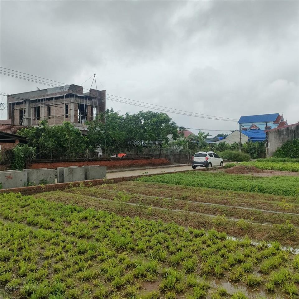 Hiếm hiếm! bán gấp 600m2 full thổ cư đường thông ô tô ngay ngã 4 đông tảo gần vành đai 4,0961 532 ***