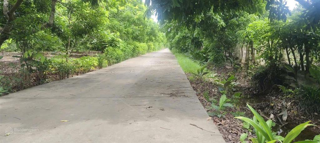 Đất 03! bán 1800m2 đất 03 gần chợ đầu mối đông tảo ngay vành đai 4, đường thông 2 ô tô, 0961 532 ***